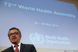 WHO: Virus corona muncul secara alami