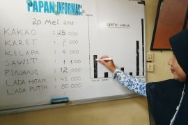 Harga komoditas kakao turun di  Aceh Utara