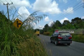 Semak belukar ganggu pengendara di Jalan lintas tengah Sumatera