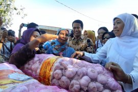 Mentan-Gubernur Jatim operasi pasar bawang putih di Sidoarjo