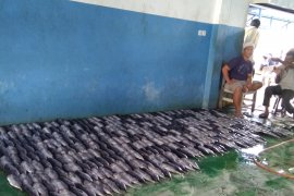 Peminat ikan bandeng tinggi jadi pemicu inflasi