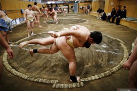 Turnamen sumo Jepang bakal kembali dihadiri penonton