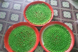 "Cepak Kapung" kue warisan leluhur jambi