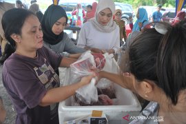 Bulog sediakan 300 Kg daging beku di Pasar Ramadhan Page 2 Small