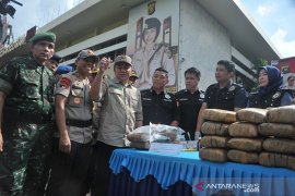 Polda Sumsel musnahkan 106 kilogram Ganja Page 2 Small