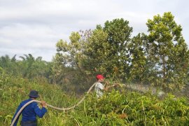 Kebakaran lahan mulai terjadi di Sampit, diduga disengaja