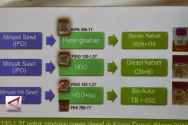 Katalis pembuat bensin dari sawit akhirnya ditemukan