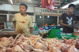 Harga daging ayam di Tanjungpinang H-1 Lebaran relatif stabil