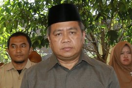 Kelapa sawit petani membusuk karena minim pabrik CPO di Aceh Barat