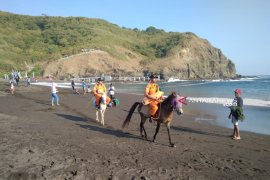 Tim SAR gunakan kuda patroli Lebaran di Pantai Payangan Jember