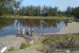 Satu ton ikan Laguna  Trisik mati diduga akibat limbah udang