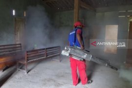 Enam warga Ngawi meninggal akibat DBD