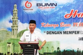 Pinbas MUI: Penanaman bawang putih direspons positif