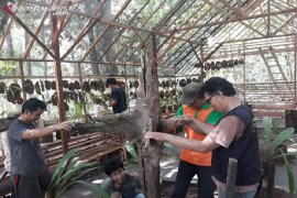 KPH Tabalong bentuk rumah konservasi Anggrek