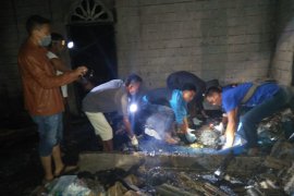 Kebakaran di Brandan Barat, satu korban meninggal