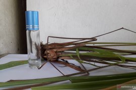 Usaha penyulingan potensial dikembangkan di Bangka Barat