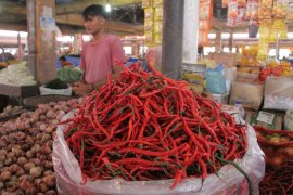 Di Aceh, harga cabai merah turun jadi Rp65.000 per kilogram