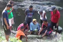 Warga Ngawi temukan fosil tulang yang diduga paha gajah purba