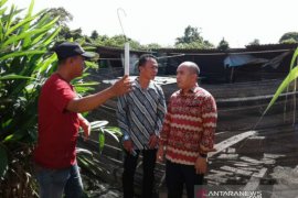 Pemkot Pangkalpinang akan benahi BBIL di kawasan Ketapang