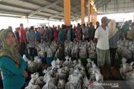 Hingga Mei, TPI Pekalongan raih pendapatan Rp2,35 miliar