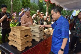 Karang Taruna Desa Sumerta Klod diseleksi tim Bali