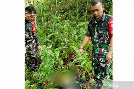 Pendamping desa di Nias ditemukan tewas di kebun warga