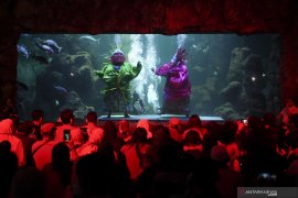 Sambut HUT DKI Jakarta ke-494, Ancol siapkan atraksi ondel-ondel di bawah air