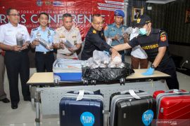 BC Juanda gagalkan upaya penyelundupan benih lobster
