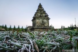 Dieng membeku, suhu minus 7 derajat. Begini penampakannya Page 1 Small