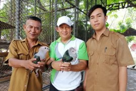 Seorang warga serahkan burung langka peragam ke Taman Satwa