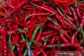 Rumah makan Pekanbaru keluhkan cabai mahal tembus Rp80.000/kg