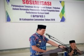 Pemkab Lamandau targetkan peremajaan 2.051 hektare sawit rakyat