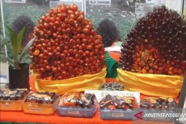 Rusia juga berencana perketat standar CPO Indonesia