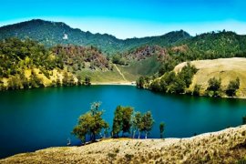 Bekraf sebut pariwisata dan ekonomi kreatif merupakan masa depan Indonesia