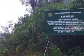 Ribuan hektare hutan lindung ditanam pohon produktif