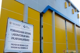 ULM kembangkan "Pasak Bumi" bermanfaat tingkatkan vitalitas