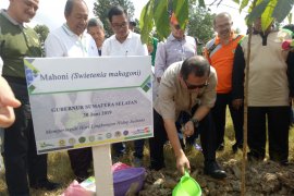 Alumni doktor Unsri tanam 2.000 pohon ajak jaga udara bersih