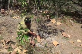 Lahan pertanian terdampak kekeringan di Magetan meluas