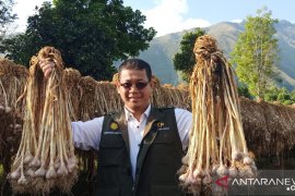 Kementan kembangkan korporasi pertanian di kawasan Gunung Rinjani