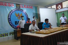 BBN Jambi bongkar pengiriman 14 kg ganja  sekaligus bekuk kurir pembawanya