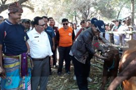 Bupati Kupang memberi apresiasi terhadap program Upsus SIWAB