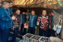 Sentra ikan asap Semarang potensial diterapkan di kota Sibolga
