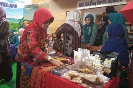 Sulam usus dan tapis andalan Lampung pada pameran Harganas di Kalsel