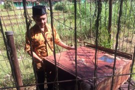 Mewujudkan perbukitan Prambanan "zero dropping" saat kemarau
