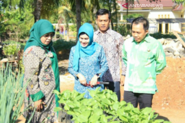 Pemerintah daerah cegah kekerdilan melalui KRPL
