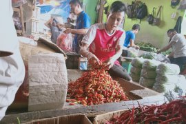 Berbagai jenis  sayur-mayur di Pasar Induk Kramat Jati merangkak naik