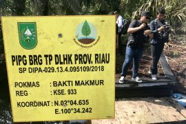 Pemkab Rokan Hilir minta masa kerja BRG diperpanjang