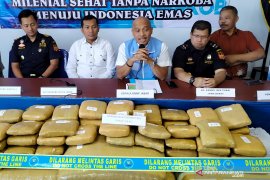 Wah wah, Kuli bangunan terlibat peredaran 169 kilogram ganja