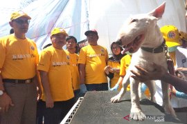 Kementan bagikan dua ribu vaksin rabies gratis di Garut