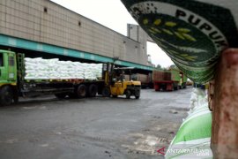 Pupuk Kujang jamin tidak ada kenaikan harga pupuk